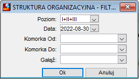 Struktura organizacyjna - filtrowanie do raportu