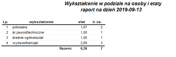 Przykładowy raport Wykształcenie w podziale na osoby i etaty