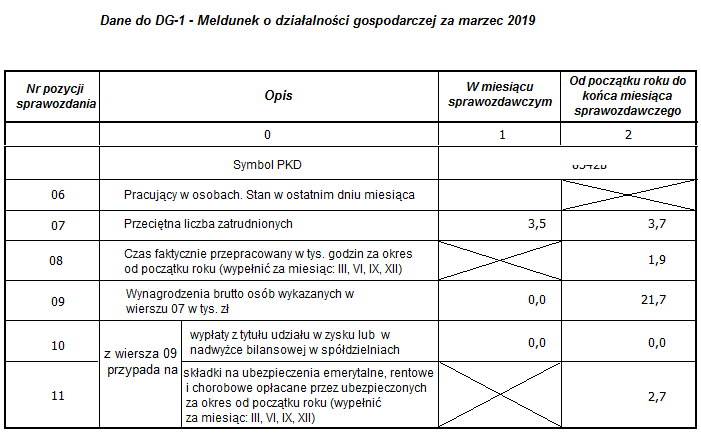 Przykładowy raport Dane do DG-1